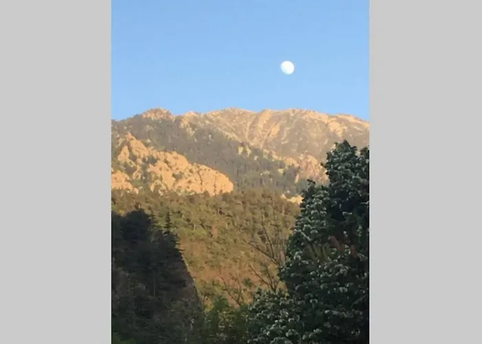 Apartment Les Lavandieres